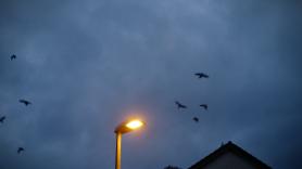 Master_Geiste__Ausspiel